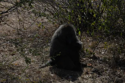 DSC_3449 (Large).JPG